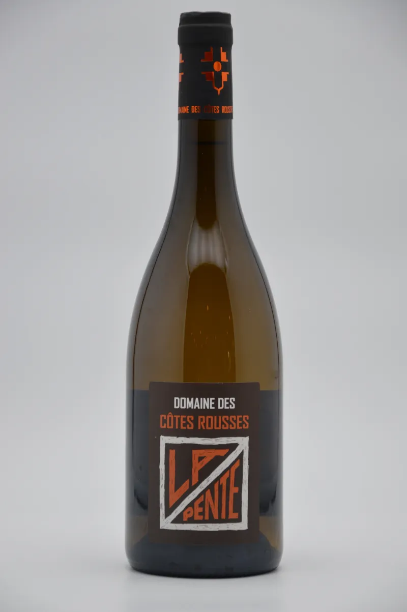 Domaine des Côtes Rousses - Vin de Savoie - La Pente 2023