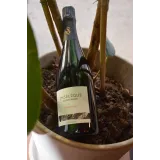 Champagne JM Sélèque - Solessence - Extra Brut