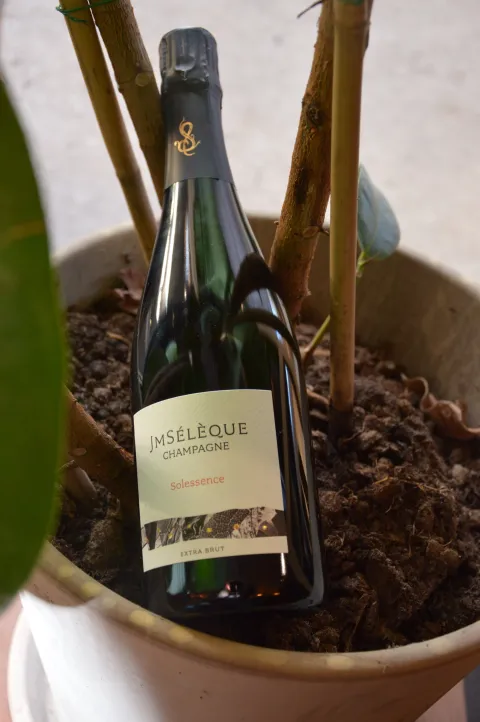 Champagne JM Sélèque - Solessence - Extra Brut