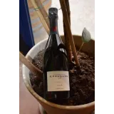 Champagne rosé - R.Pouillon - 1er Cru - Brut