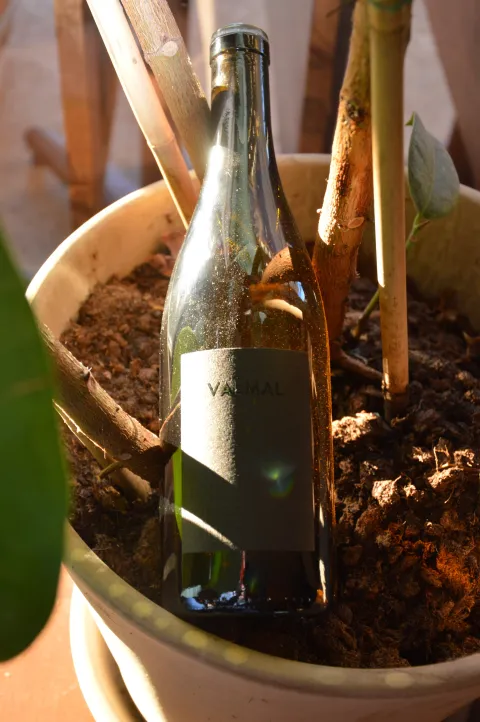 Valmal rosé - Les frères soulier - 2021 - grenache noir oxydatif
