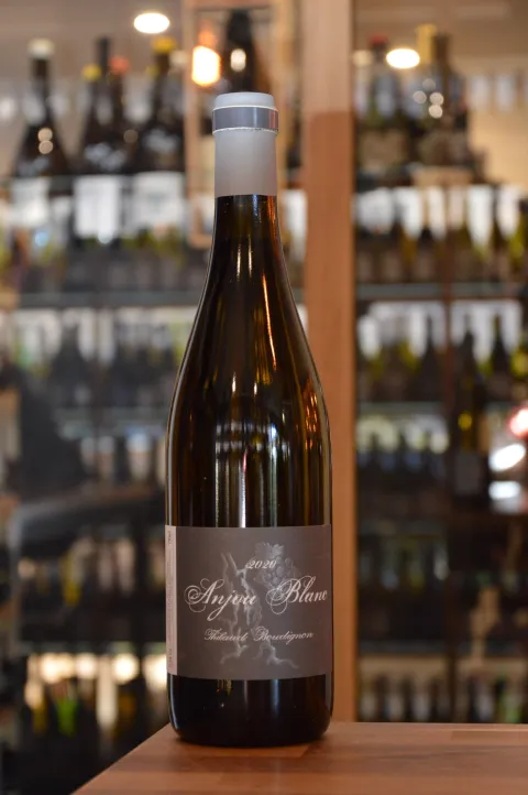 MAGNUM - Thibaud Boudignon - Anjou - 2022